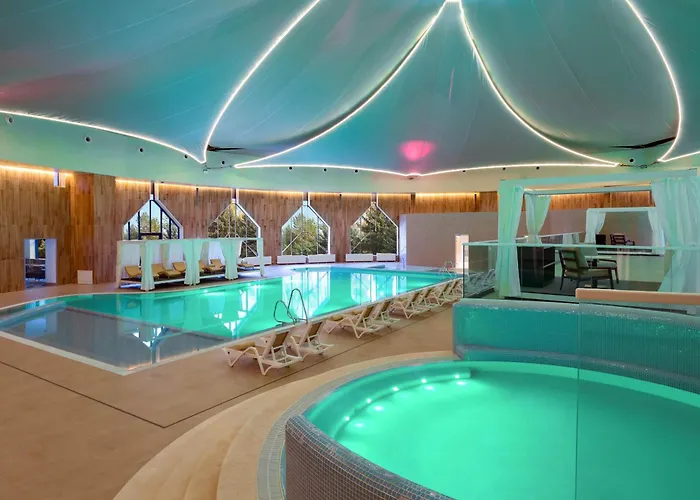 Swissotel Wellness Resort Alatau